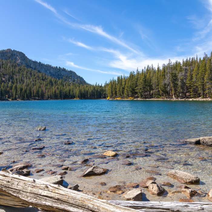Near Mammoth Mountain - Mammoth Pass Trail Near Mammoth Mountain - Mammoth Pass Trail