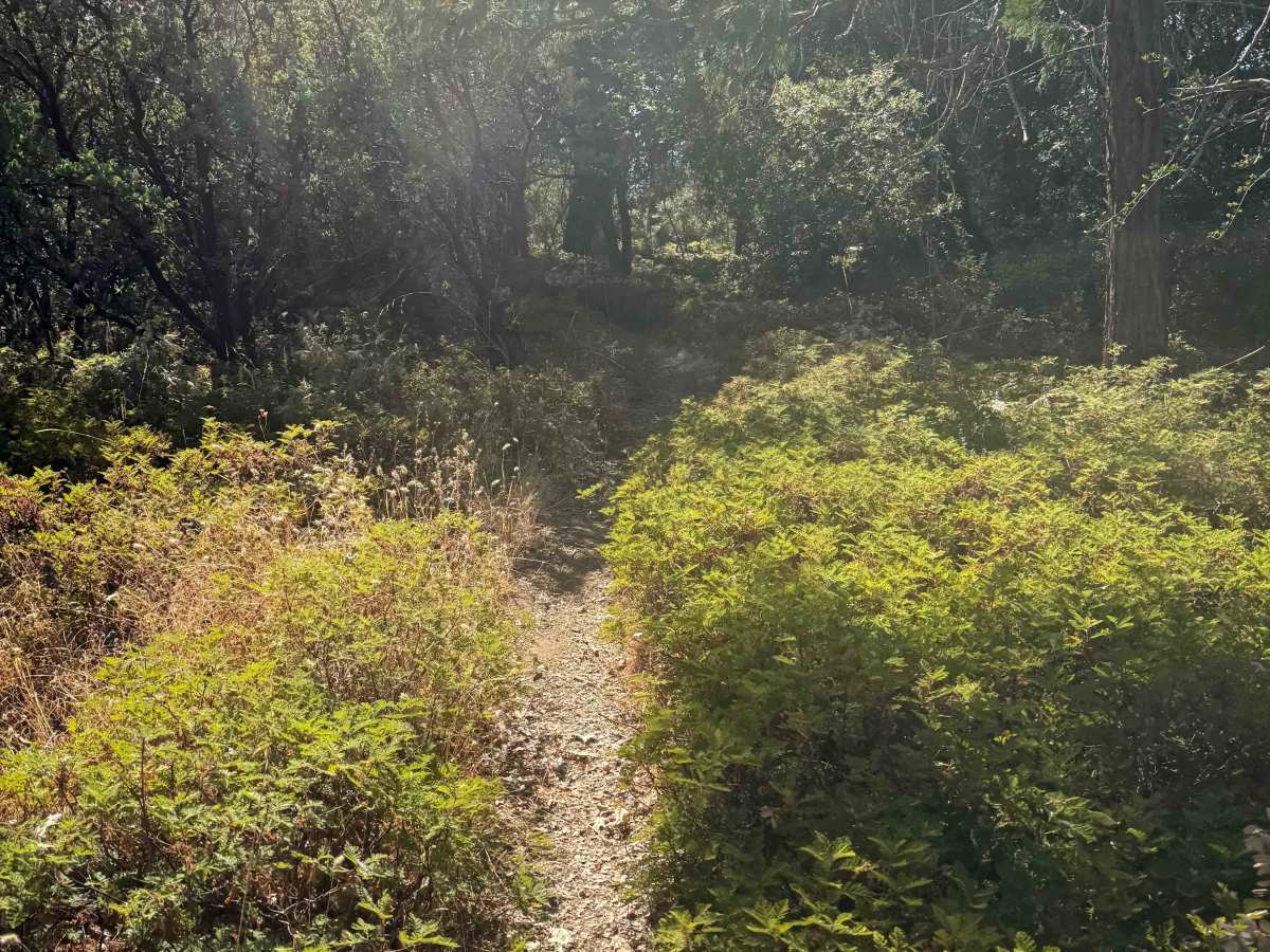 21E203 photo 4