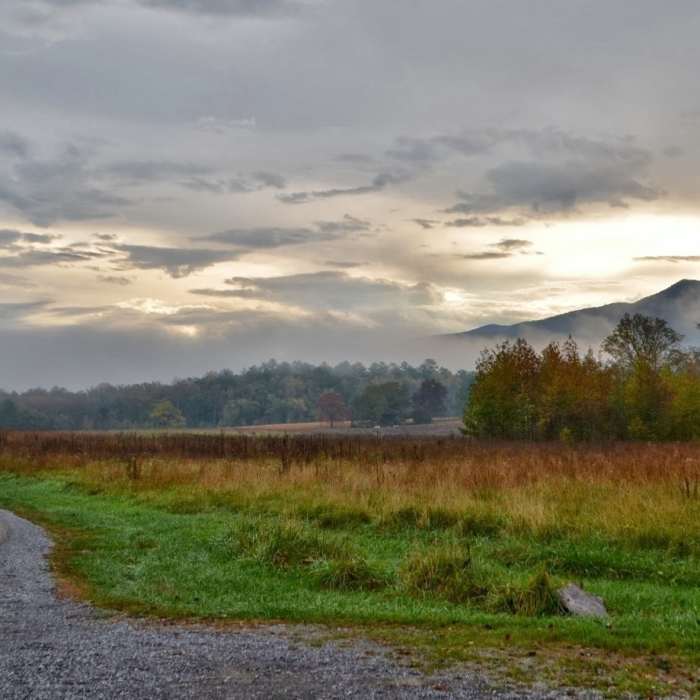 Near Abrams Falls Trail