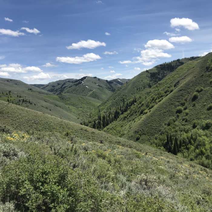 A pleasant view from the top of A-H Canyon Near Third Fork/Wahlstrom Hollow Loop