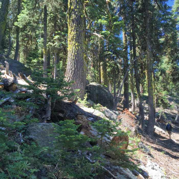 Near North Yolla Bolly