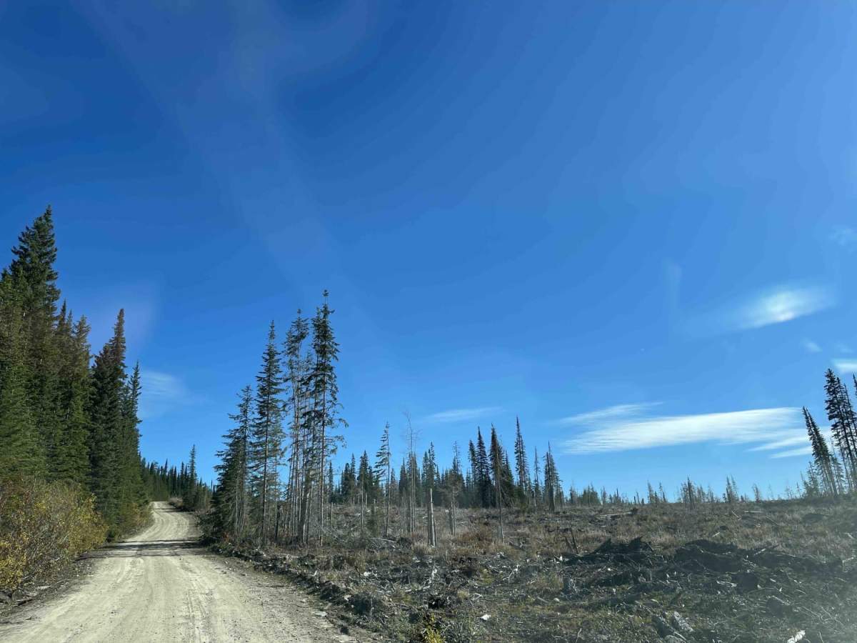 Spa Hills to Arthur Lake Rec Site photo 5