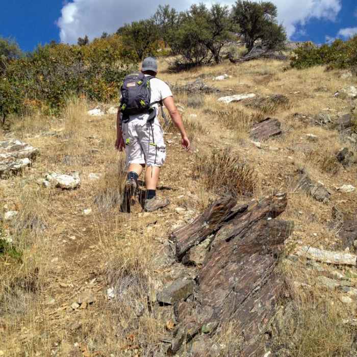 Near Steed Canyon Waterfalls