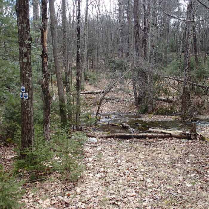 Start of Jacobs Ladder Trail Near Jacobs Ladder Trail