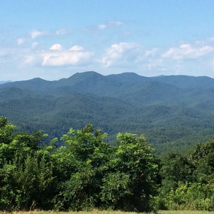 Near Benton MacKaye Trail - Childers Creek to Unicoi Gap - Backpack