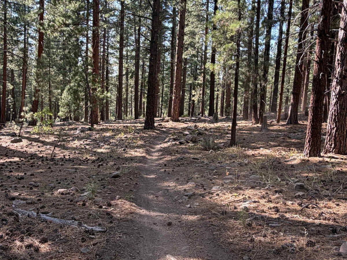 Beer Run Trail Upper photo 5
