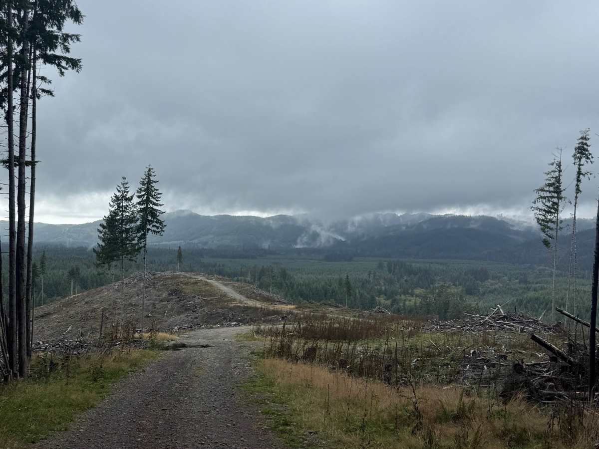 FRC 1130 trail photo