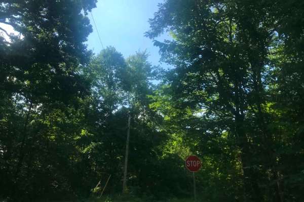 Town Highway 319