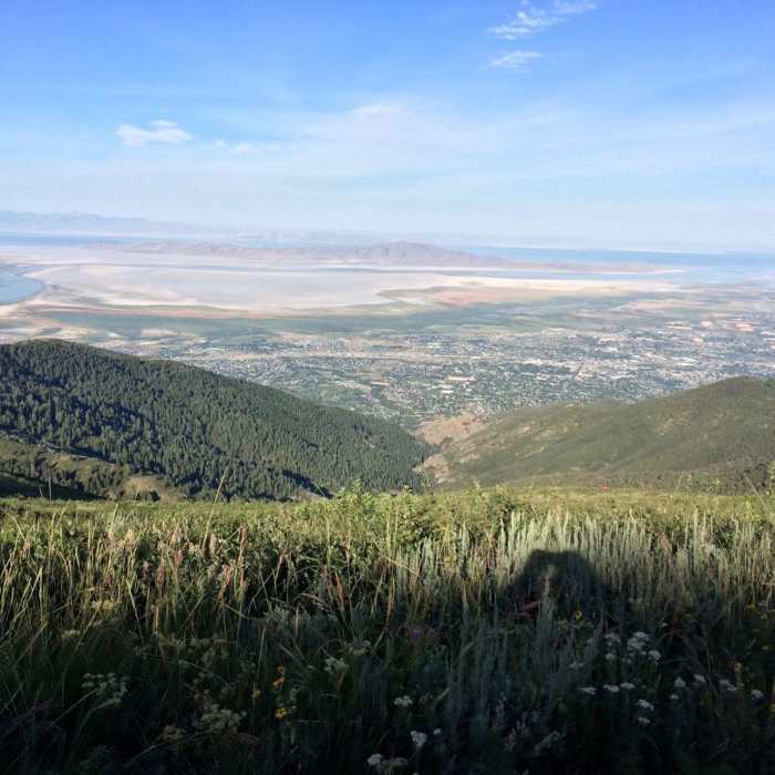 Near Bair Canyon Trail