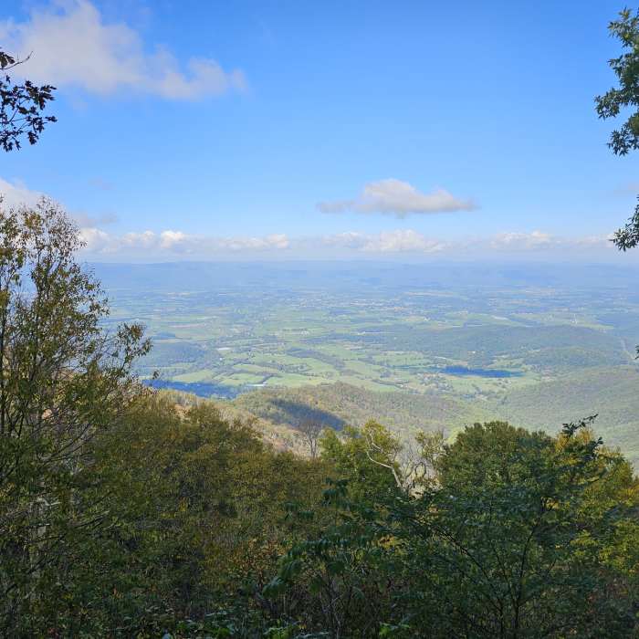 Near Millers Head Trail