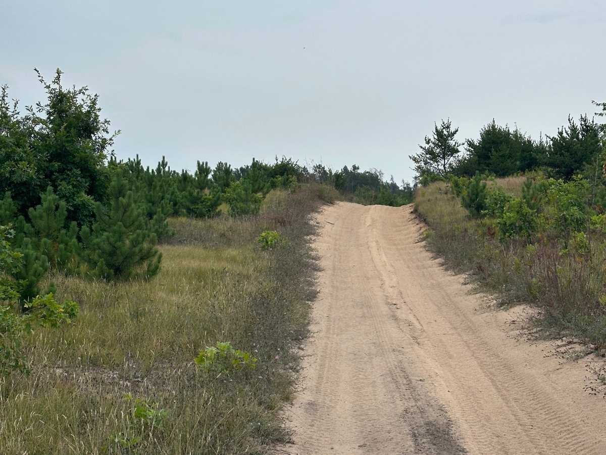 Hill Drive  photo 3