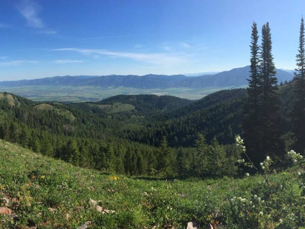 Red Ridge photo 5