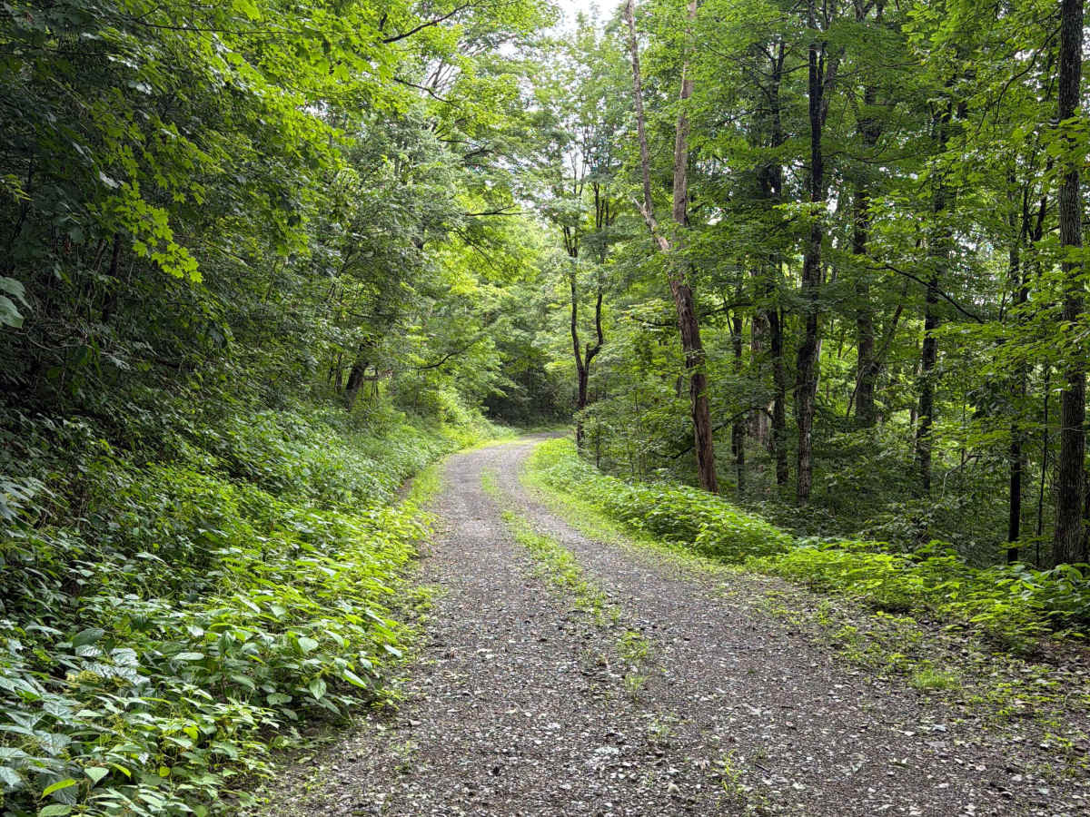 South Sugar Tree trail photo