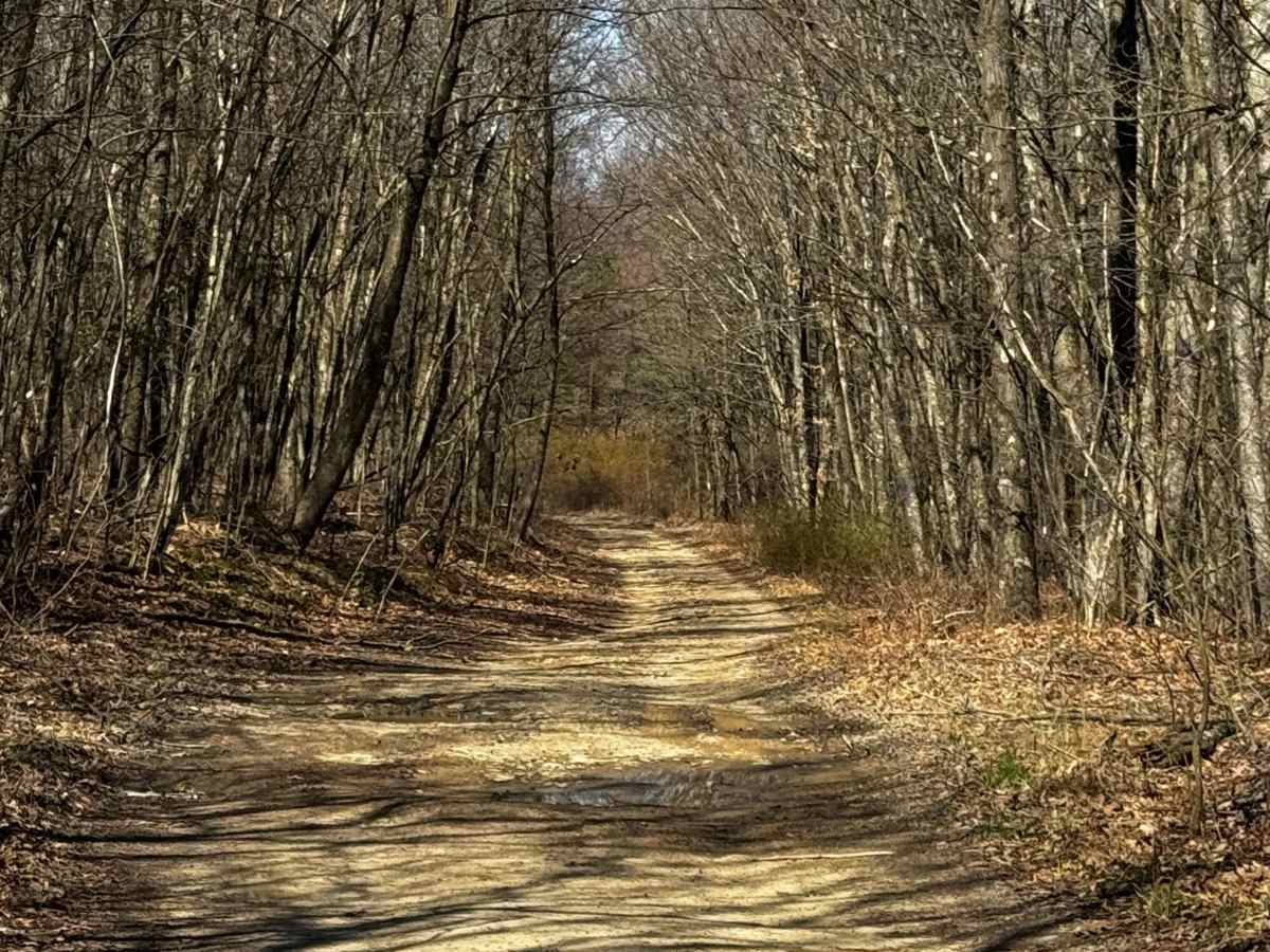 McClosky Road photo 4