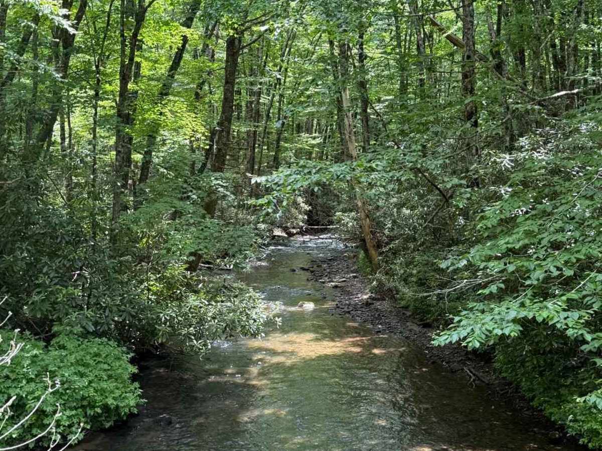 Perry Gap - FS 350 trail photo