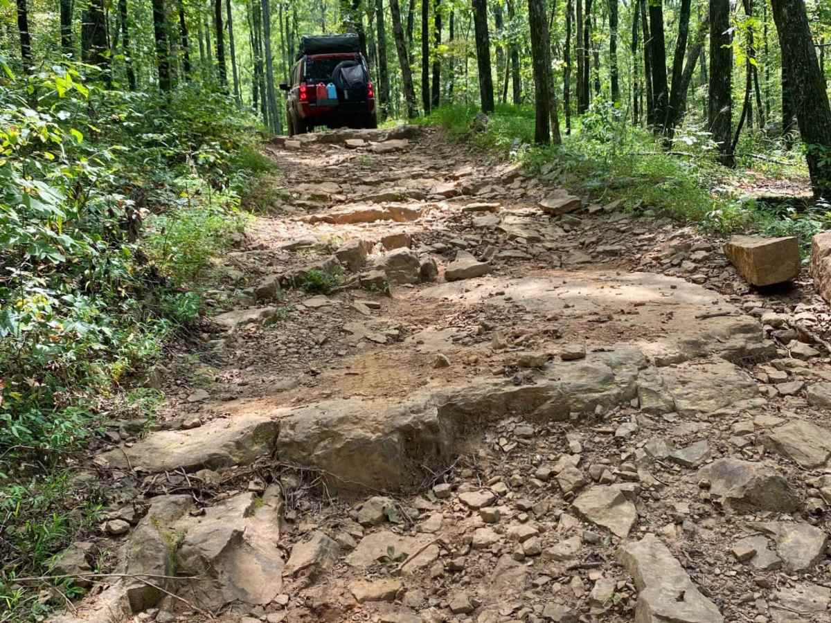 Wolf Ridge photo 6