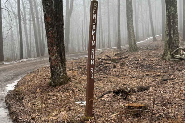 Benjamin Run Road