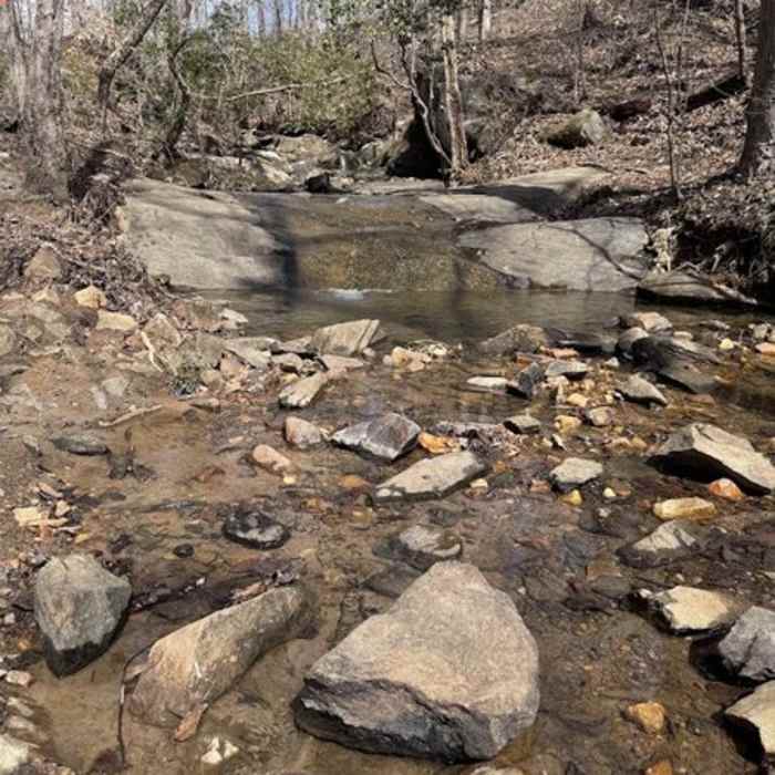 Near Boling Creek Park Trails