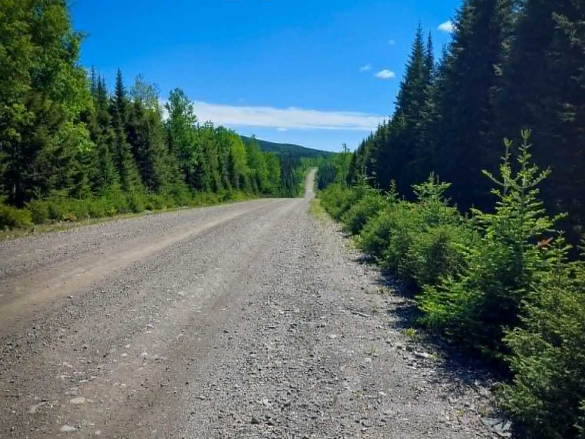 Airstrip Road photo 3