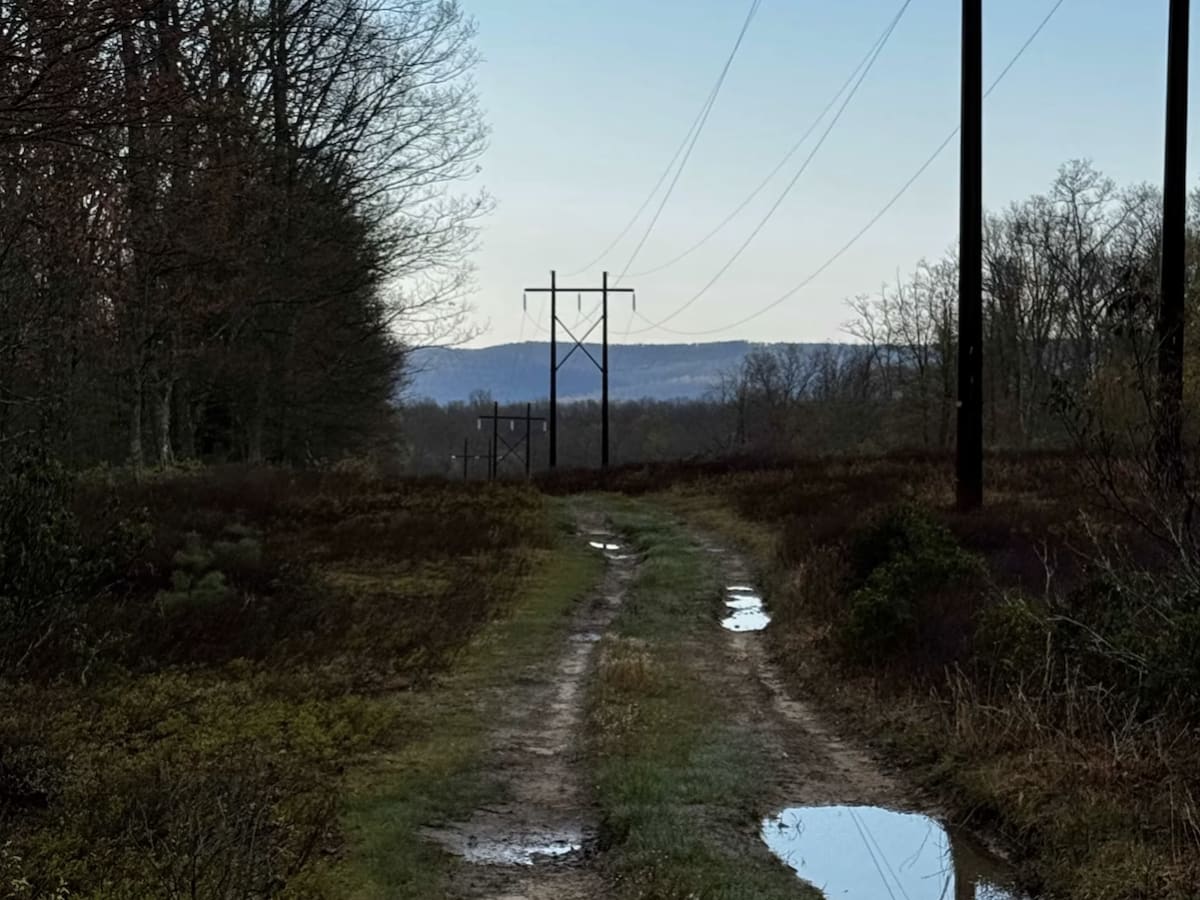 Eagleton Powerline Trail photo 3