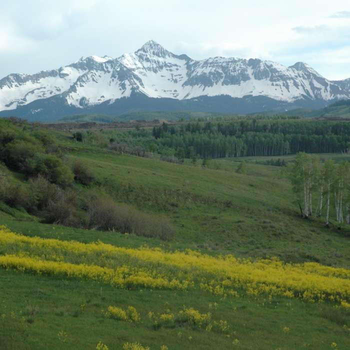 Near Deep Creek Trail #418