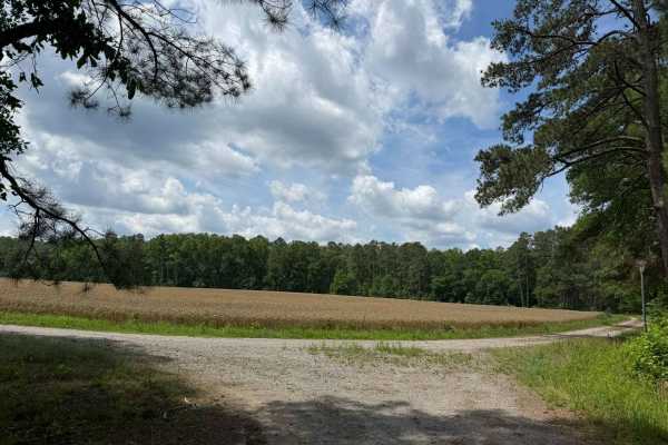 Beaver Pond Road