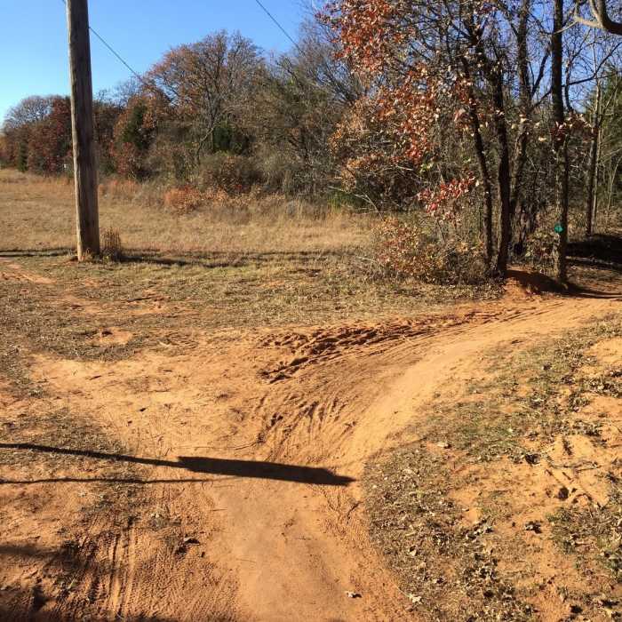 Near Orange Loop