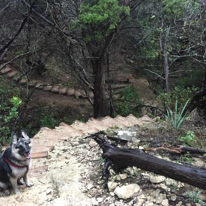 Nature's stair stepper. It does not disappoint! Near River Place Nature Trail