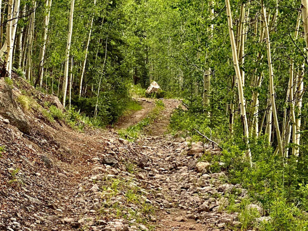 Middle Rat Creek Road - NF 504-1B photo 3