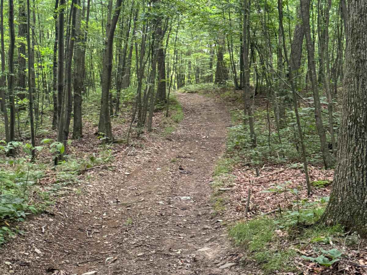 Trail 75 photo 5