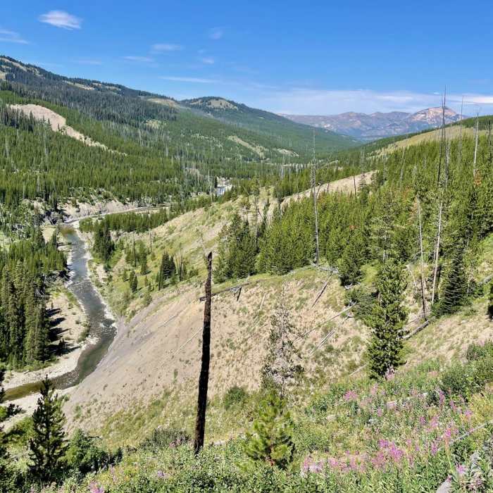 Near Continental Divide Trail: Wyoming Section 20 Near Continental Divide Trail: Wyoming Section 20