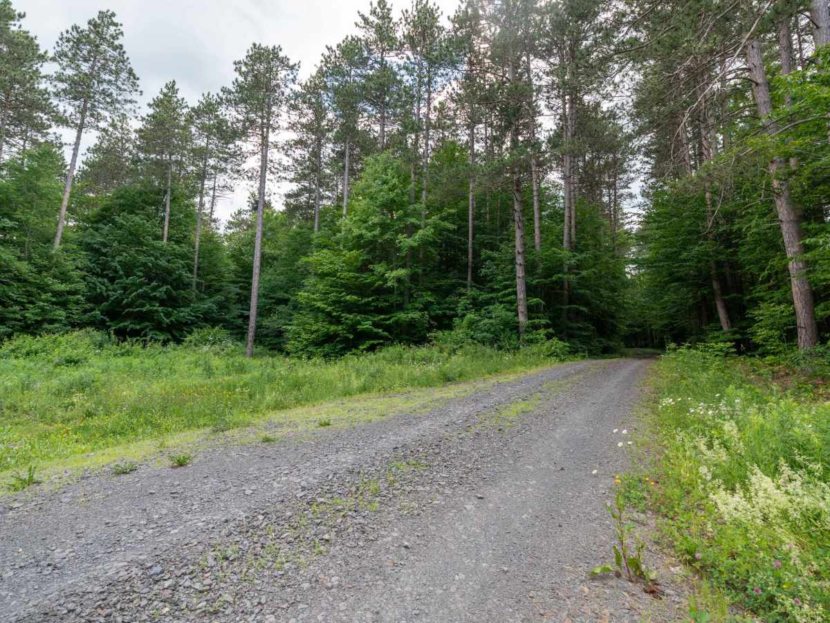 Truck Trail 13 photo 3