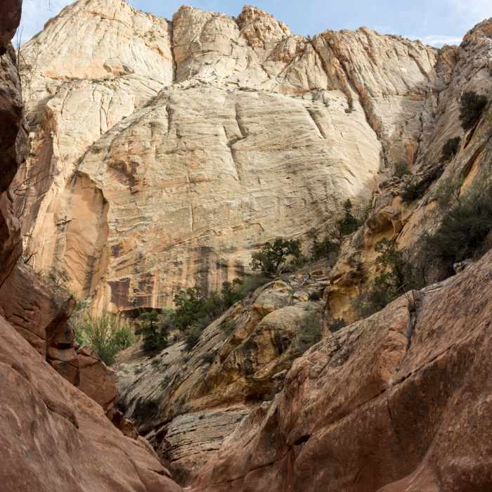 Slick rock section in Sheets Gulch Near Sheets Gulch