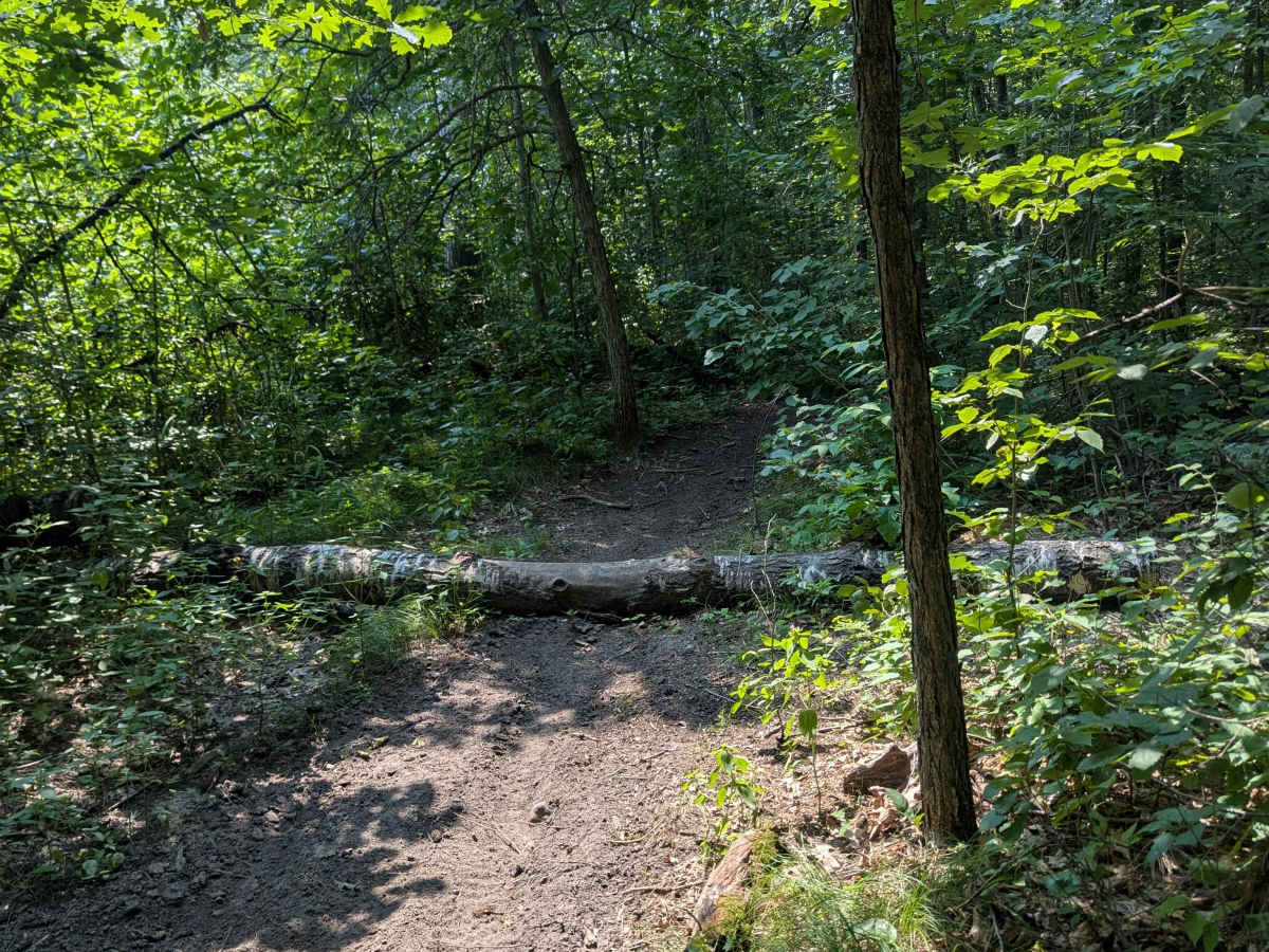 Outer Loop photo 6