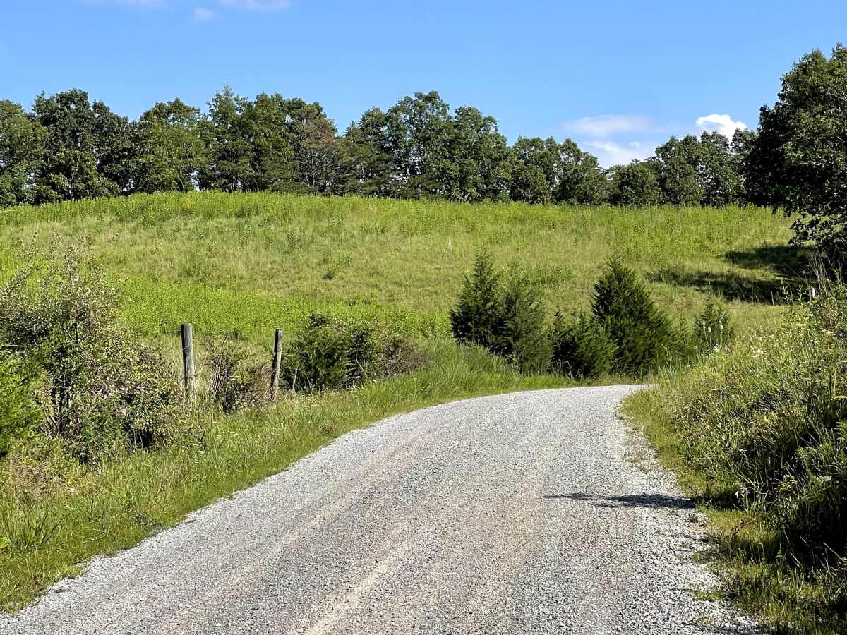 Route 612 photo 5