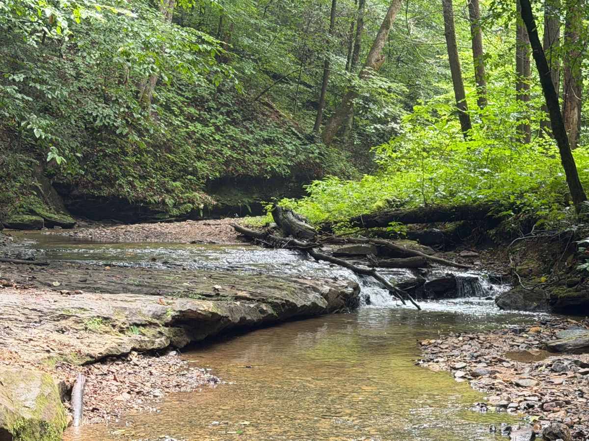 Little Buckhorn Creek Trail photo 5