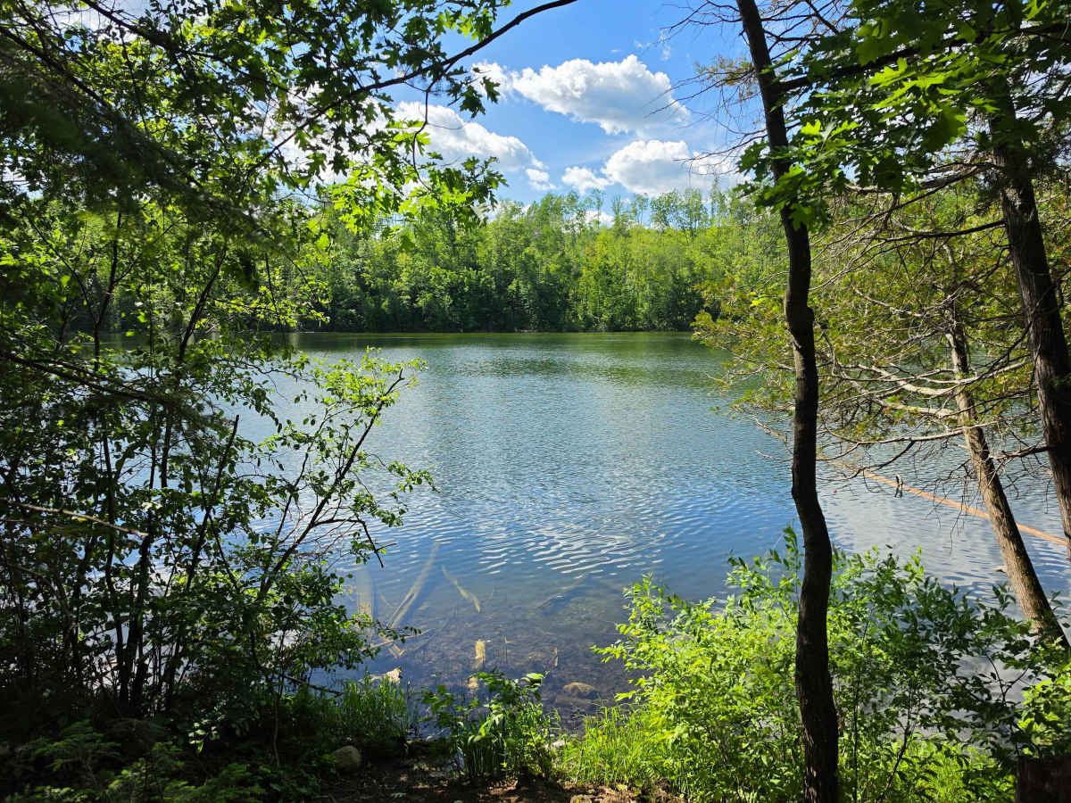 Perch Lake Lane photo 4