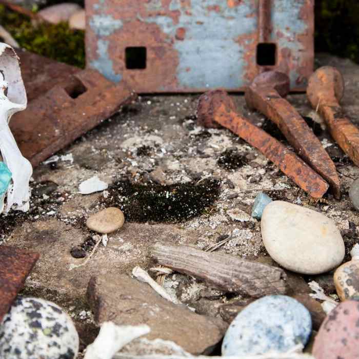 Near Klickitat Trail, Harms Road Trailhead