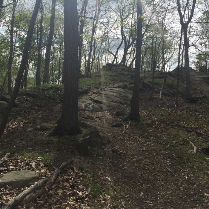 Near Blauvelt Northern Loop