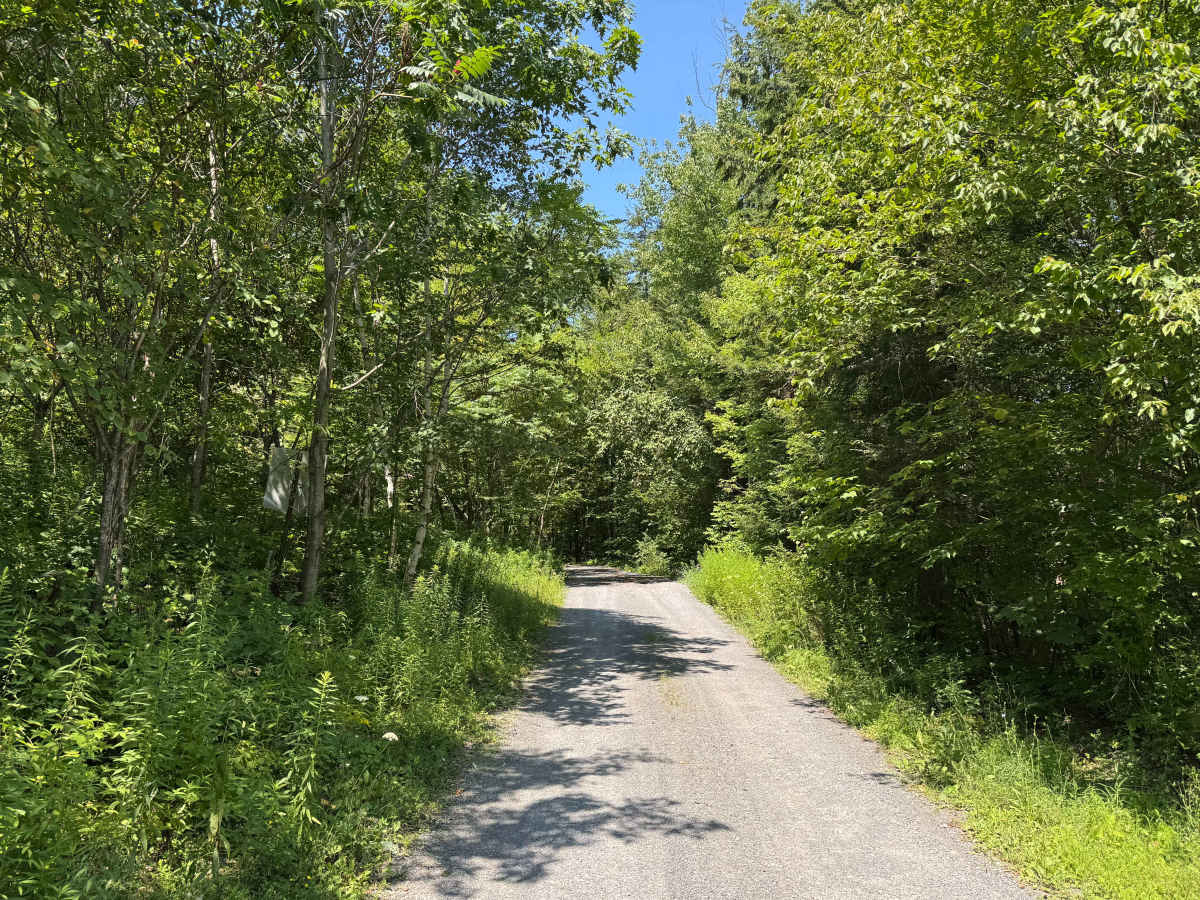 Burnt Hill Road trail photo