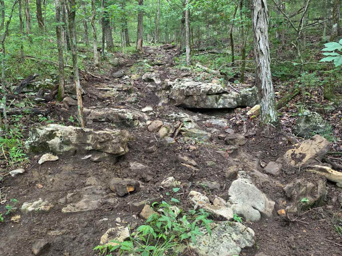 Where's Ed? trail photo