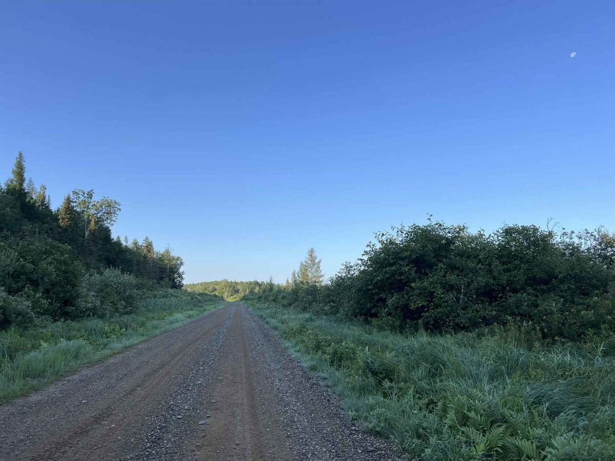 Nicolet State Trail - Long Lake photo 3