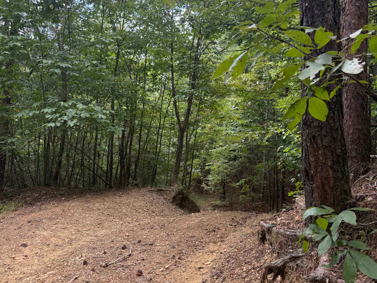 405D trail photo
