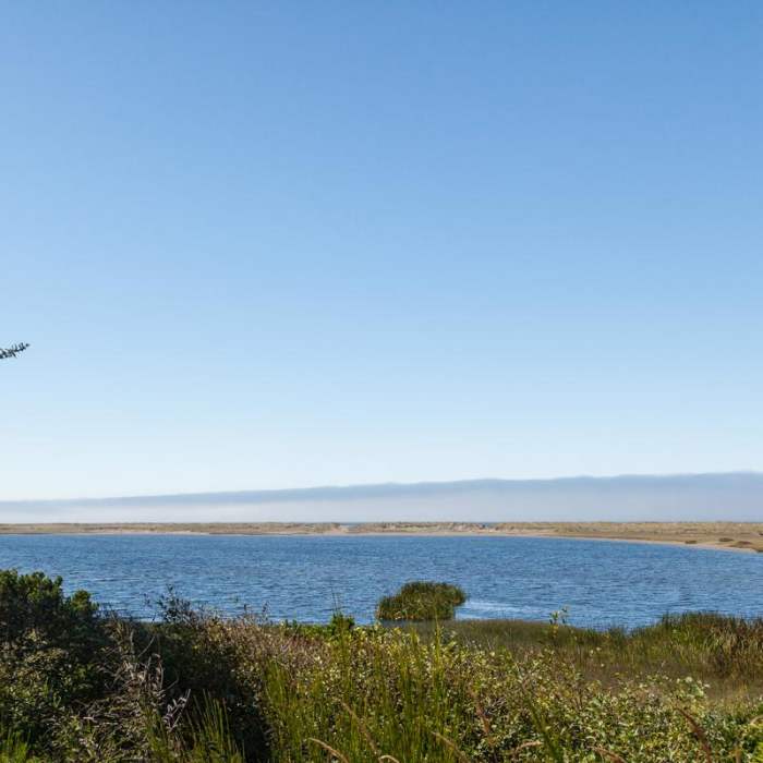 Near Floras Lake Trail Hike