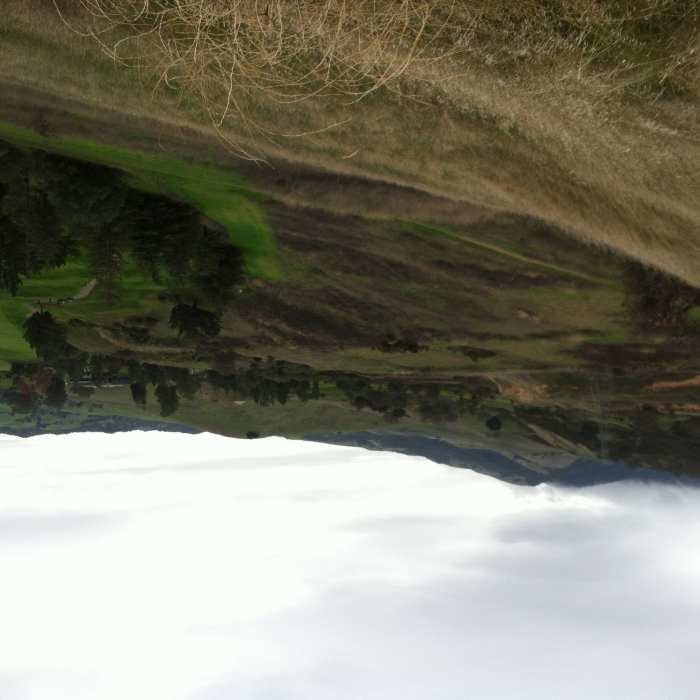 Near Ohlone-Crystyl Ranch Loop