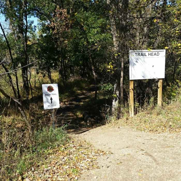 Near Bison Plant Trail
