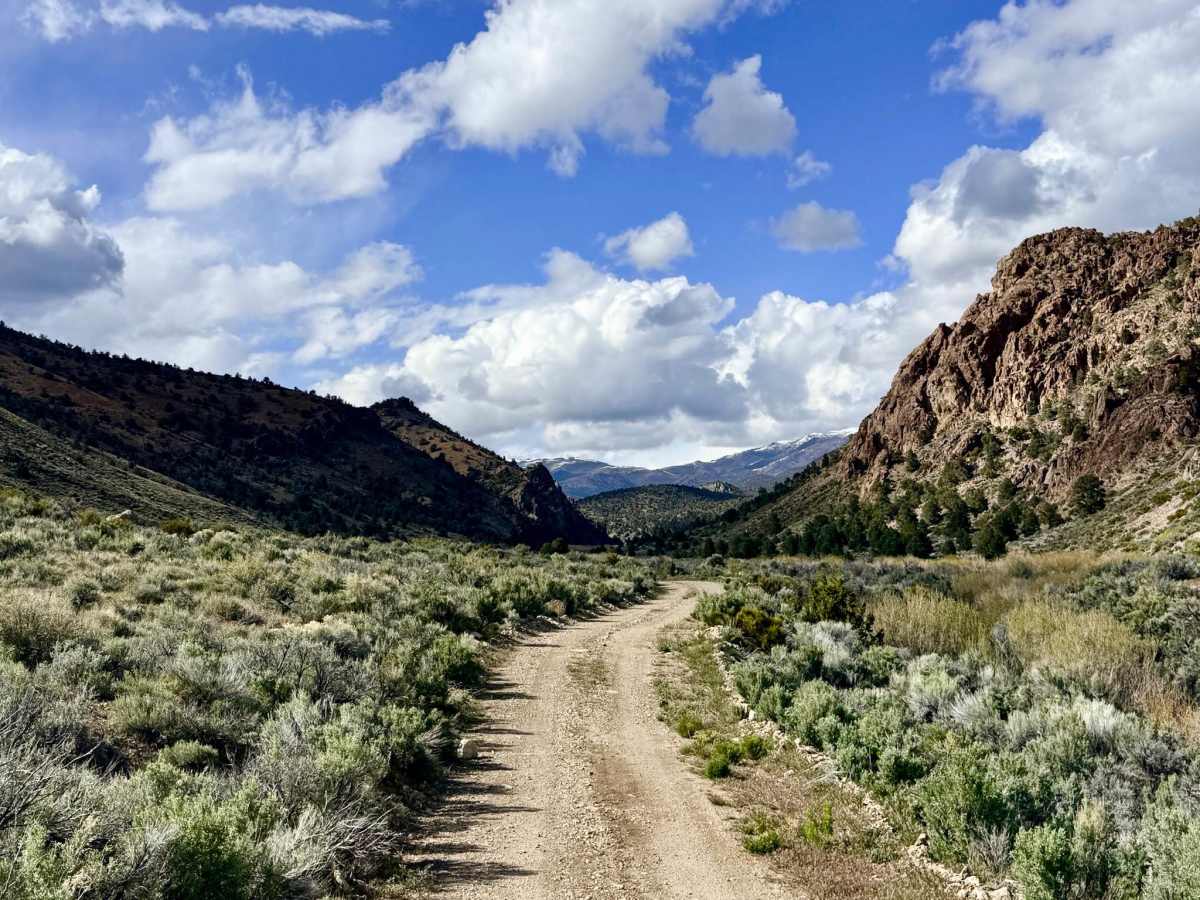 Peavine Creek - FS 44020 trail photo