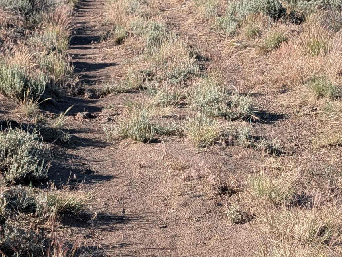 FS 47A14D trail photo