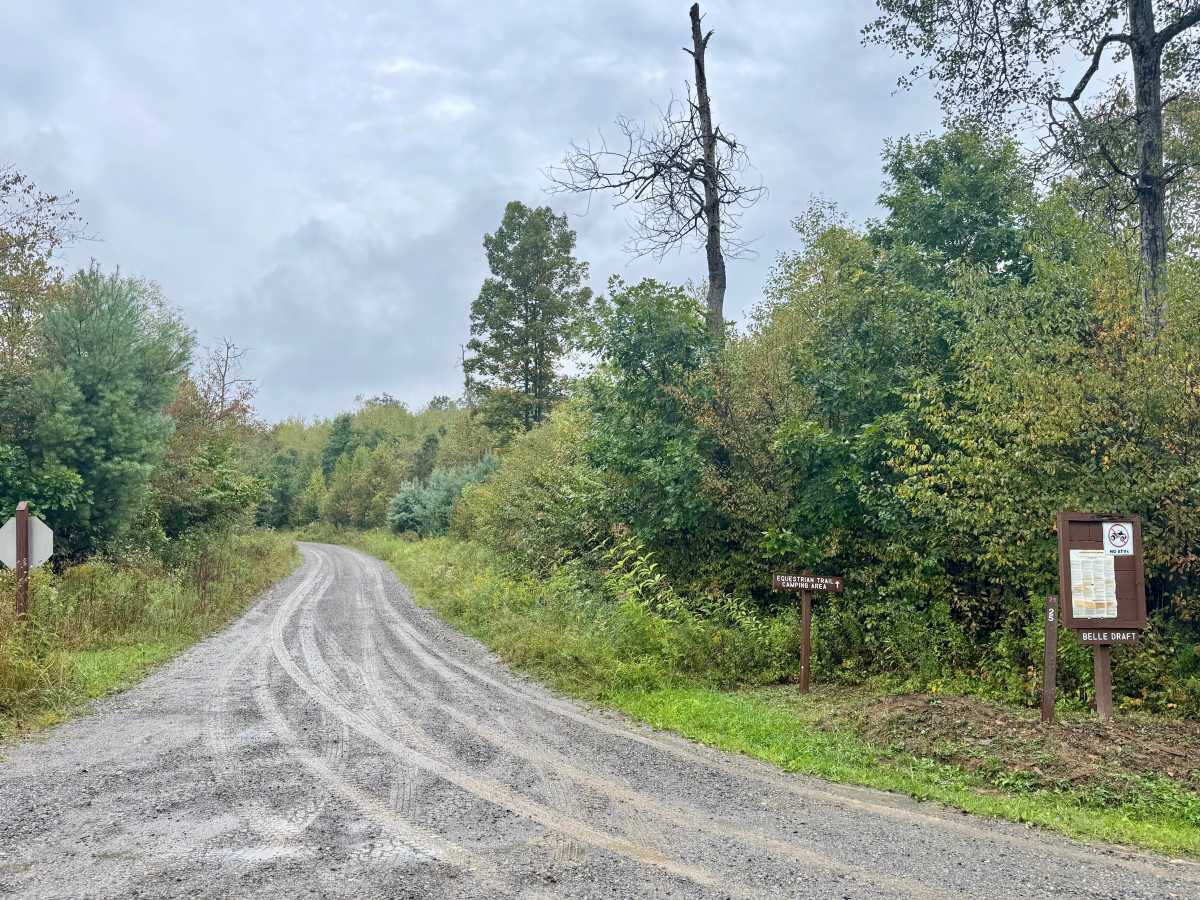 Belle Draft Road trail photo