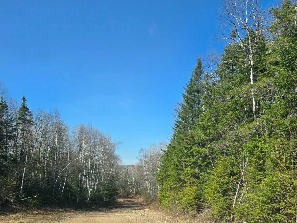Campbell Brook Road  photo 3